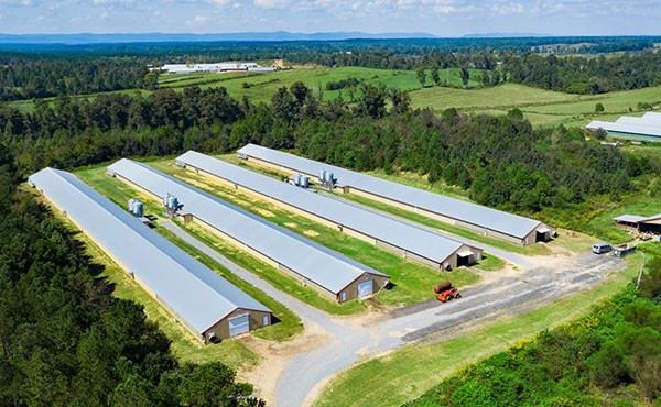 Prefab Steel Frame Building Workshop
